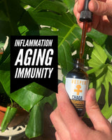 Elixir Bundle - Lion's Mane and Chaga Liquid Double Extract - VESPER MUSHROOMSMushroom Extract Bundlesvespermushrooms