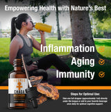 chaga liquid mushrooms extract, best mushroom for inflammation and aging