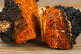 Chaga Liquid Double Extract with Wild Huckleberries 2oz./60M - VESPER MUSHROOMSSingle Mushroom ExtractsVESPER MUSHROOMS