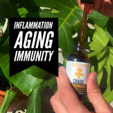 Fortify Bundle - Chaga and Turkey Tail Liquid Double Extraction - VESPER MUSHROOMSMushroom Extract BundlesVESPER MUSHROOMS