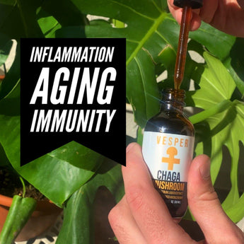 Fortify Bundle - Chaga and Turkey Tail Liquid Double Extraction - VESPER MUSHROOMSMushroom Extract BundlesVESPER MUSHROOMS