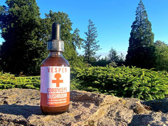 Cordyceps - Energy - Liquid Double Extract with Wild Huckleberries (2oz./60ML) - VESPER MUSHROOMSSingle Mushroom ExtractsVESPER MUSHROOMS