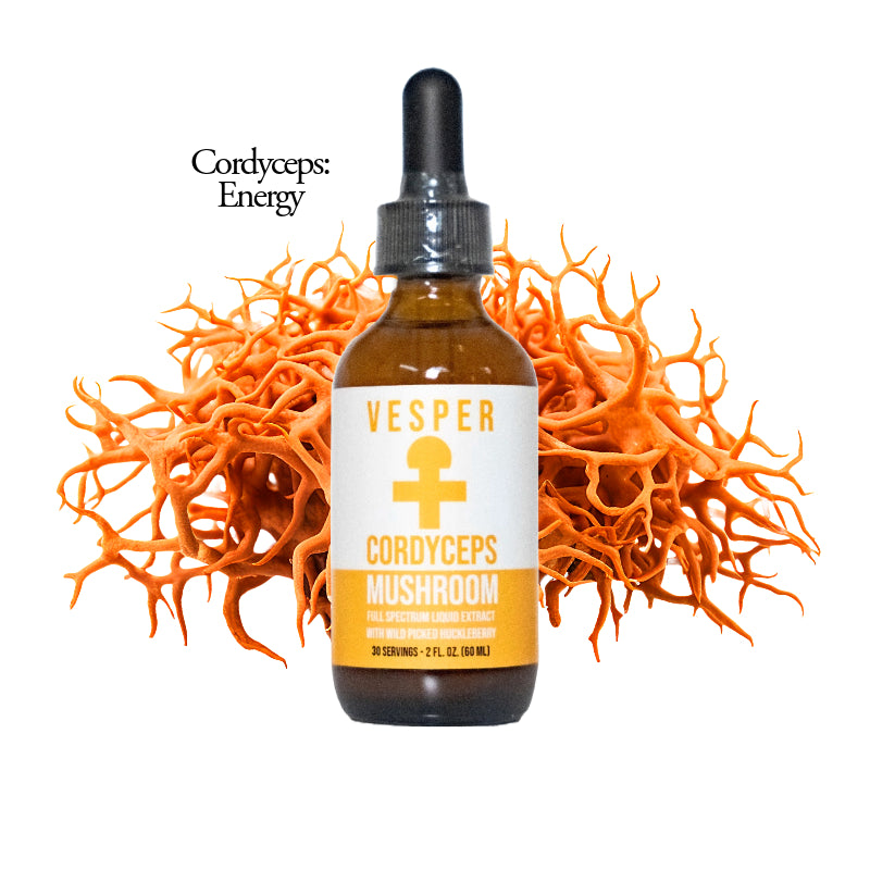 Cordyceps - Energy - Liquid Double Extract W - VESPER MUSHROOMS
