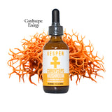 Cordyceps - Energy - Liquid Double Extract W - VESPER MUSHROOMS
