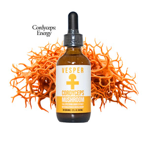 Cordyceps - Energy - Liquid Double Extract W - VESPER MUSHROOMS