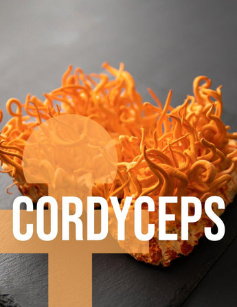 Cordyceps - Energy - Liquid Double Extract with Wild Huckleberries (2oz./60ML) - VESPER MUSHROOMSSingle Mushroom ExtractsVESPER MUSHROOMS