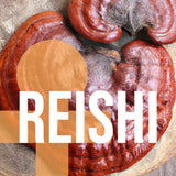 Reishi - Rest - Liquid Double Extract with Wild Huckleberries (2oz./60ML) - VESPER MUSHROOMSSingle Mushroom ExtractsVESPER MUSHROOMS